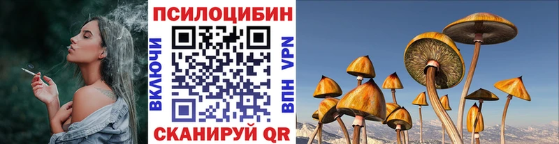 Галлюциногенные грибы Psilocybe  ОМГ ОМГ tor  Чаплыгин 